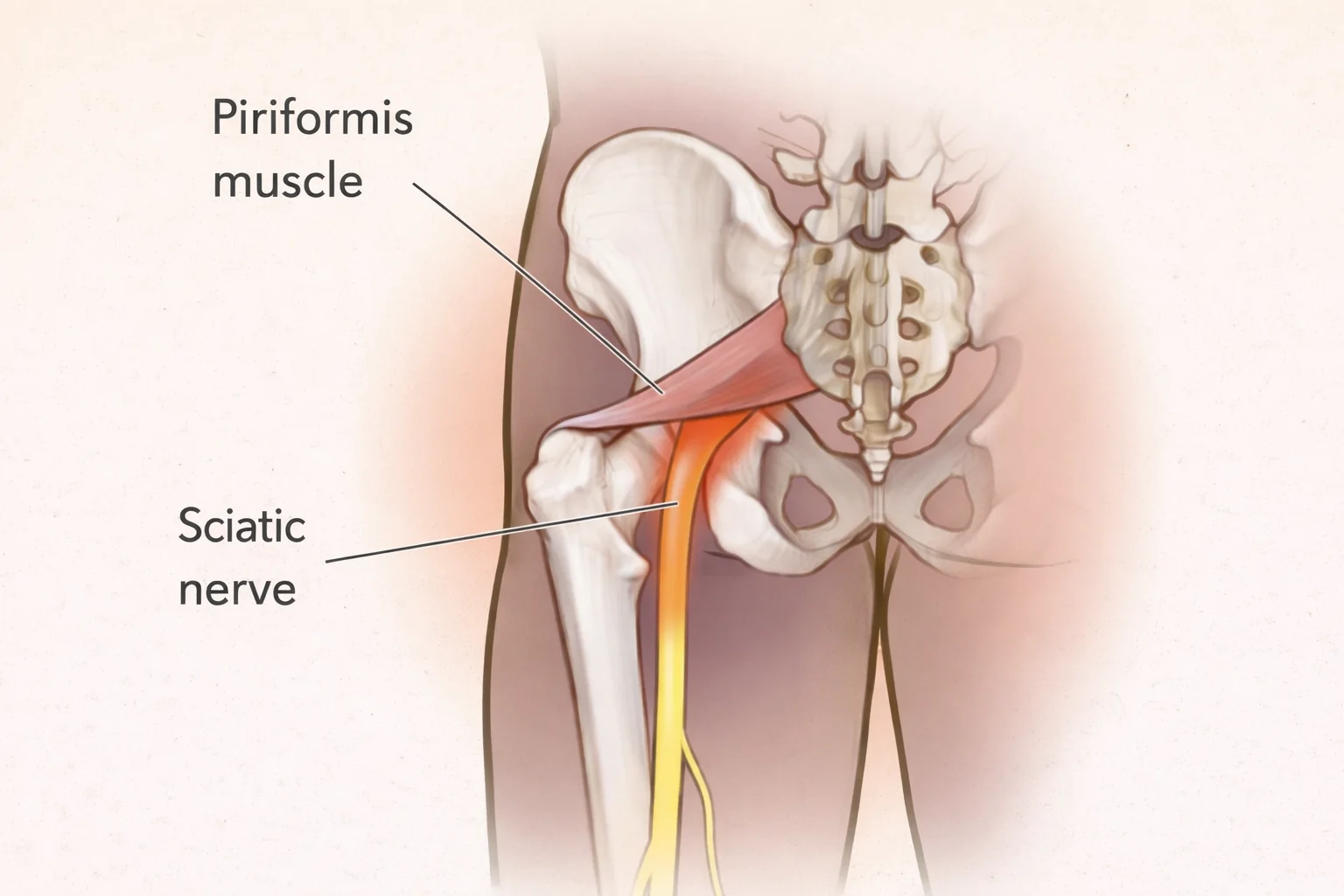 best physiotherapy center in Dhaka